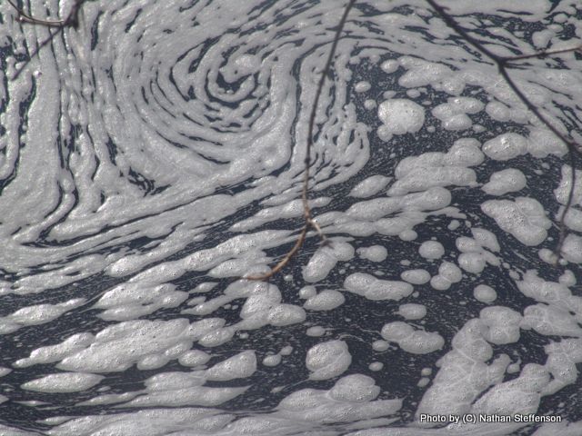 foam swirl in rum river