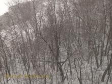 Snow at Mississippi River Brainerd MN 2-10-2015