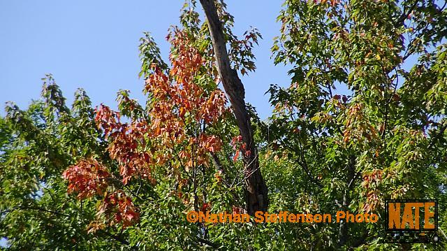 DSC02566